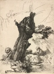 Heiliger Hieronymus neben einer Kopfweide, 1648
