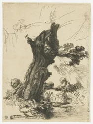 St. Hieronymus neben einer Kopfweide