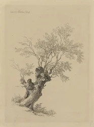 Weidenbaum