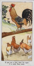 Östliches Sprichwort: Wenn du eine Henne bist, dann lege Eier; wenn ein Hahn, dann krähe