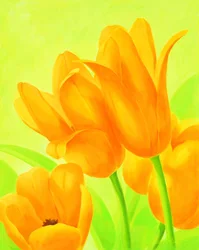 Lebhafte Orange Tulpen