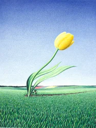 Schnelle Tulpe