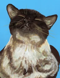 Glückliche Braune Katze