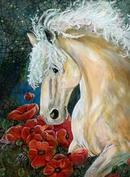 Träumendes Pferd und Mohnblumen