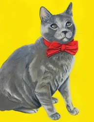 Graue Katze mit roter Fliege