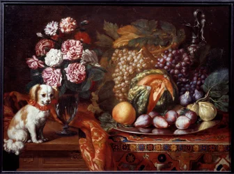 Stillleben mit Zwergspaniel
