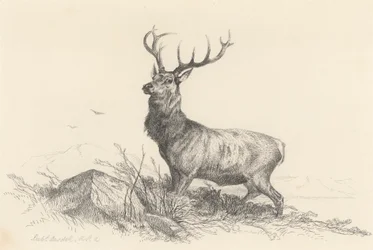 Der Wächter