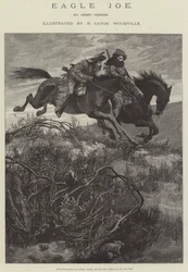 Eagle Joe, von Henry Herman
