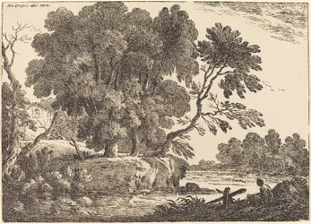 Landschaft mit Baumgruppe umgeben von Wasser