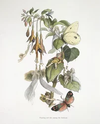 Schlemmen und Spaß unter den Fuchsien