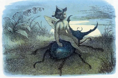 Der Bote der Feenkönigin