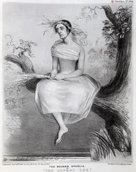 Die moderne Ophelia oder Die Verdammte, 1845