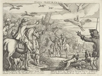 Falkenjagd auf Reiher und Enten