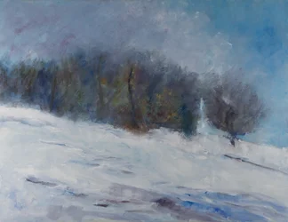 Verschneiter Winterwald