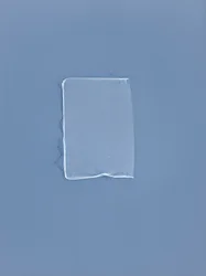Ohne Titel, 2001