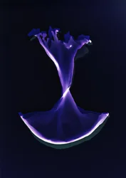 Ohne Titel, 2004