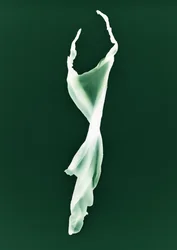 Ohne Titel