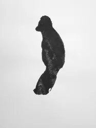 Ohne Titel