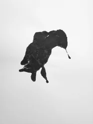 Ohne Titel, 2009