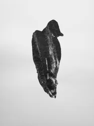 Ohne Titel, 2009