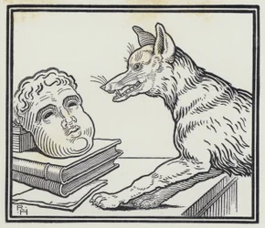Der Fuchs und die Maske