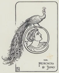 Der Pfau und Juno