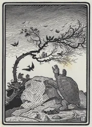 Die Schildkröte und die Vögel (Stich)