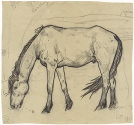 Weidendes Pferd in Noordwijk