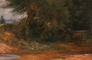 Der Aufenthaltsort des Teichhuhns