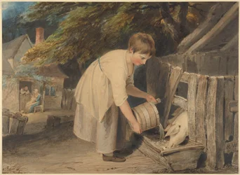 Mädchen beim Füttern von Schweinen
