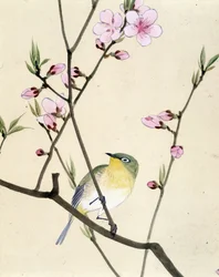 Vogel - Japanische Zeichnung von Riou Chim, Ende des 19. Jahrhunderts