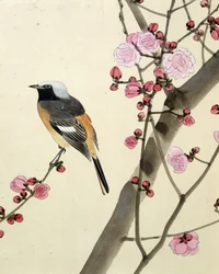 Vogel - Japanische Zeichnung von Riou Chim