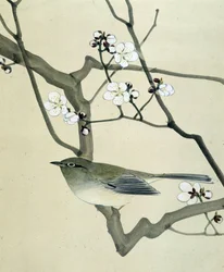 Vogel - Japanische Zeichnung von Riou Chim, spätes 19. Jahrhundert