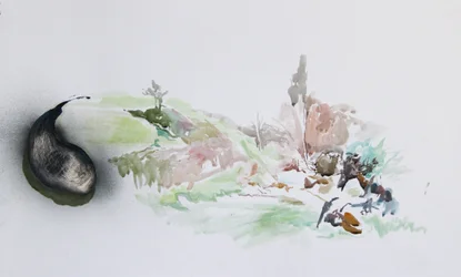 Illegale Müllentsorgung, 2015