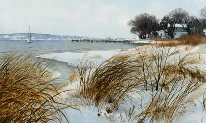 Wintersegel, 2008
