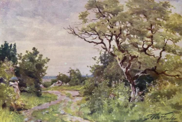 Feldweg, nahe Llanrug