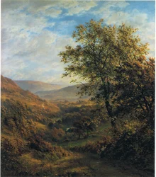 Sommerlandschaft
