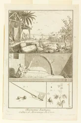 "Kultur und Brandrodung des Baumwollanbaus" aus Diderots Enzyklopädie, Bd. I