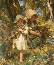 Waldsammler