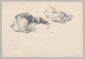 Hunde