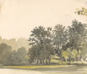 Landschaft mit Bäumen