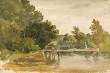Spiegelungen in einem bewaldeten Teich