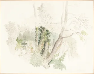 Bäume in Beddington