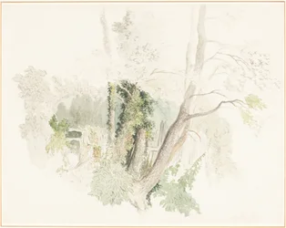 Bäume bei Beddington