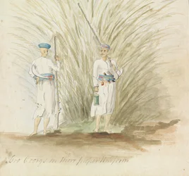 Zwei Coongs in ihrer richtigen Uniform