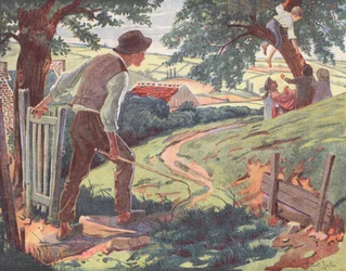 Kinder pflücken Kirschen