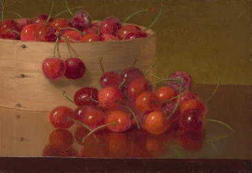 Rote Kirschen
