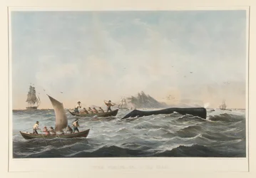 Pottwaljagd, Nr. 1 Das Gehäuse