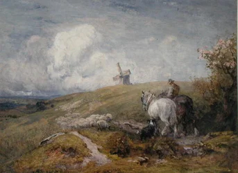 Schafe treiben auf den South Downs