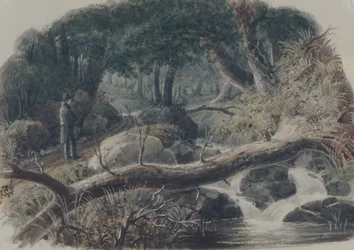 Der Eingang zu einem Wald